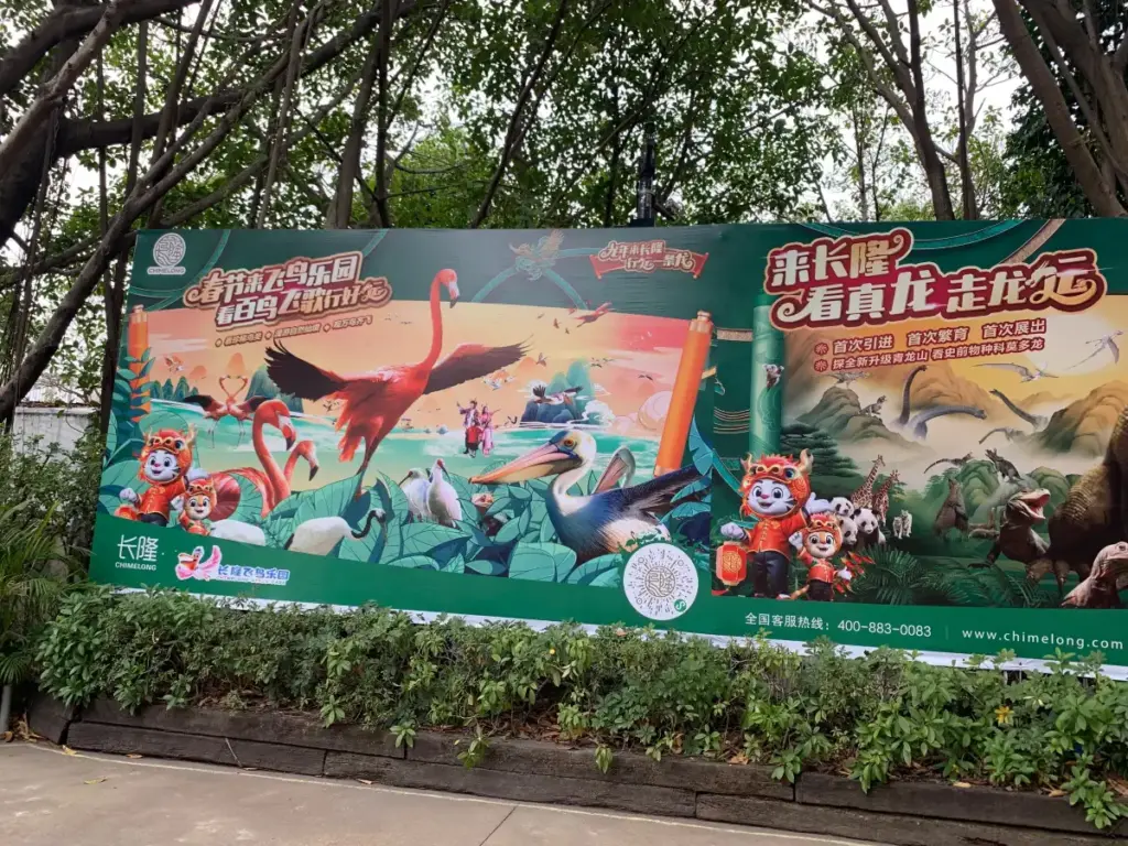 🎟️ Chimelong Birds Park Tickets Explained: Standard, Combo, and Annual Passes (How to Save Big in Guangzhou!)