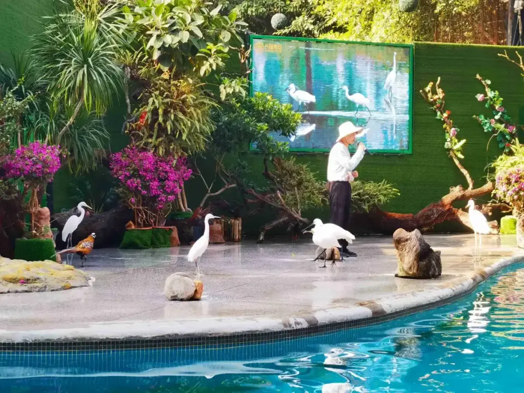 🦩 The Ultimate First-Timer’s Guide to Chimelong Birds Park (Guangzhou): Everything You Need to Know